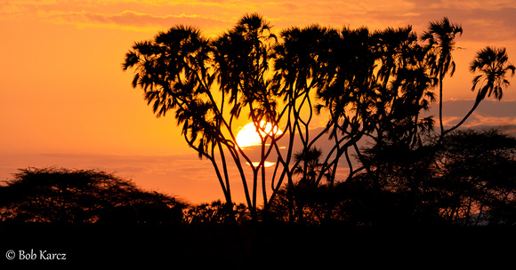 African sunrise is hard to beat