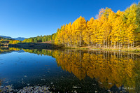 Fall Pond Description