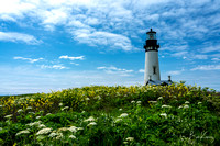 Lighthouse and wildflowers