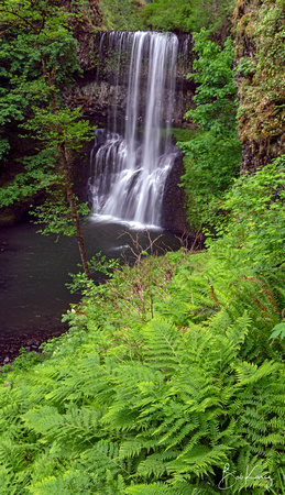 Silver Falls state Park