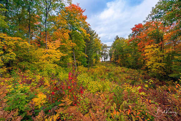 Northern Wisconsin in Full Color!