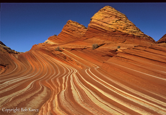 The Wave- North Coyote Buttes
