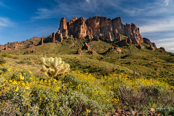 Superstition mountains with wildflowers