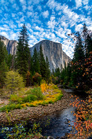 El Capitan with Fall Color and wonderful clouds