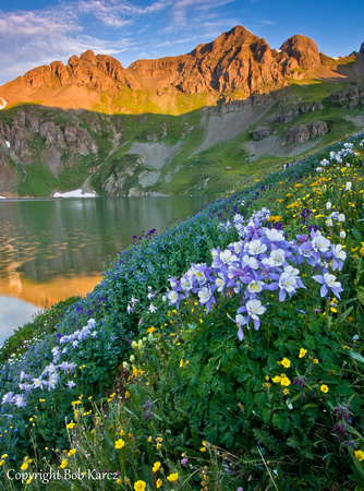 Wildflowers at Clear Lake, Colorado