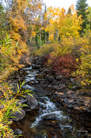 Peaceful stream in Fall colors