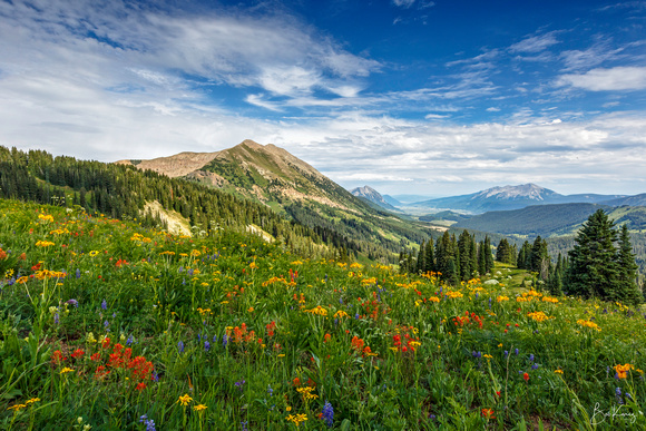 Crested Butte view