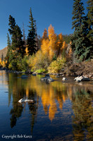 lowr Blue River Reflection