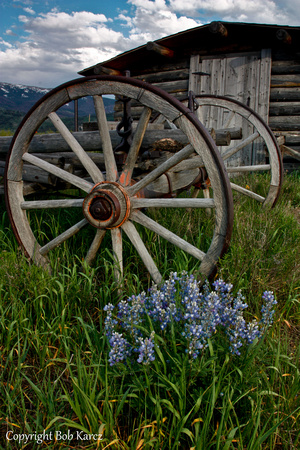 Wagon Wheel w/Lupine Clovermeadows Ranch